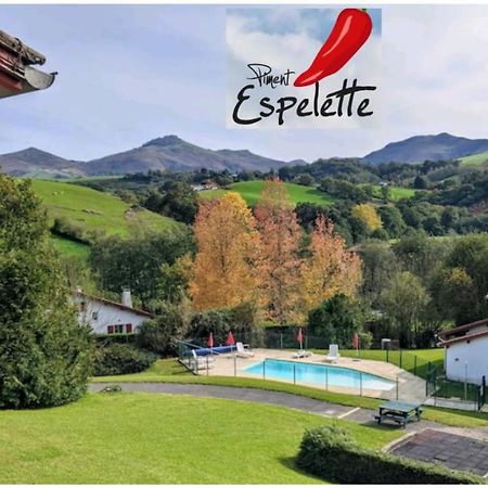 Bol D'Air Pur Au Coeur Du Pays Basque Appartement Souraïde Buitenkant foto
