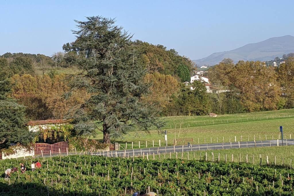 Bol D'Air Pur Au Coeur Du Pays Basque Appartement Souraïde Buitenkant foto